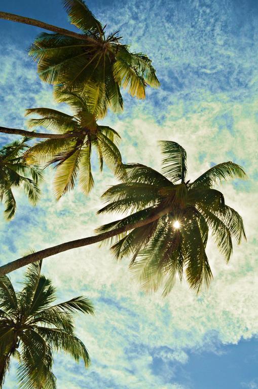 Abaquar Hostel Velha Boipeba エクステリア 写真